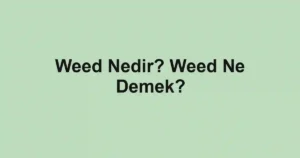 Weed Nedir? Weed Ne Demek?