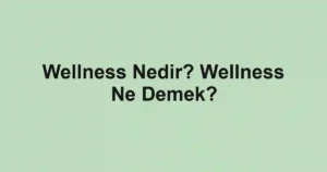 Wellness Nedir? Wellness Ne Demek?