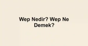 Wep Nedir? Wep Ne Demek?