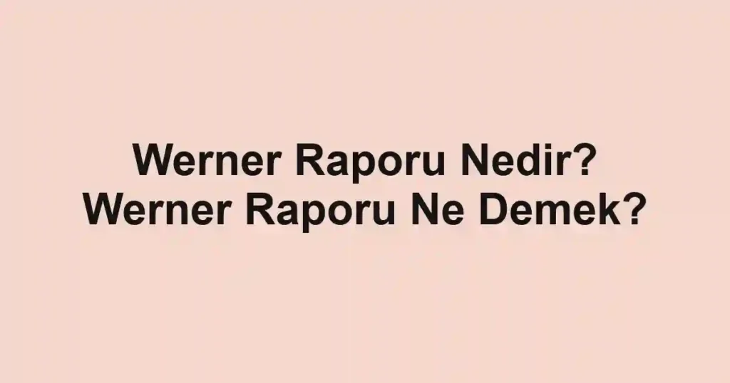 Werner Raporu Nedir? Werner Raporu Ne Demek?