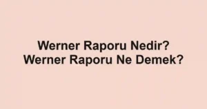 Werner Raporu Nedir? Werner Raporu Ne Demek?