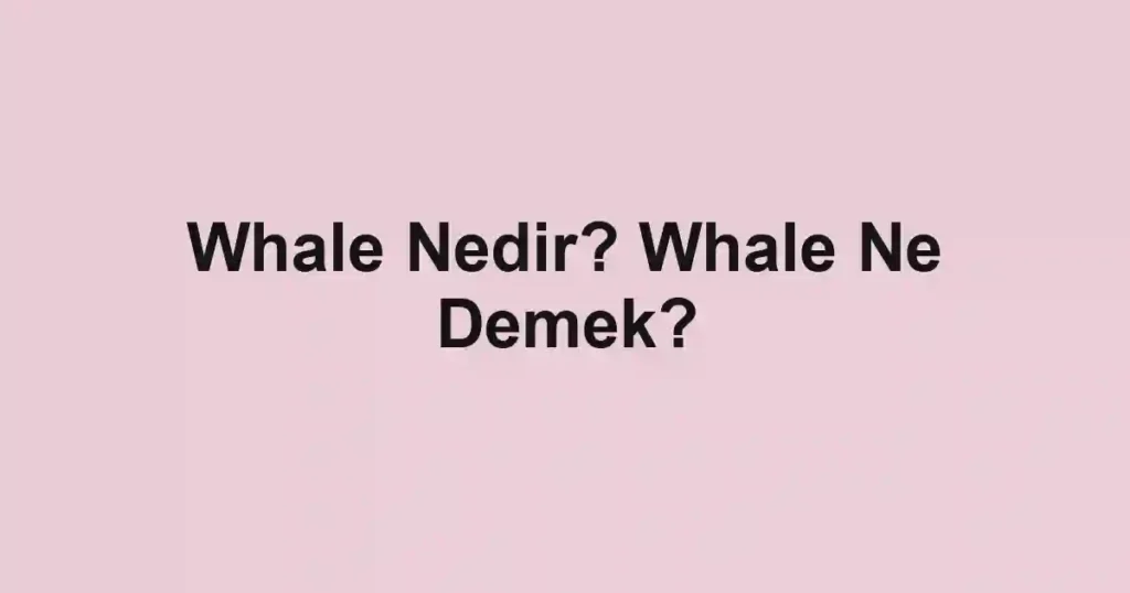 Whale Nedir? Whale Ne Demek?