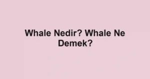 Whale Nedir? Whale Ne Demek?