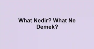 What Nedir? What Ne Demek?