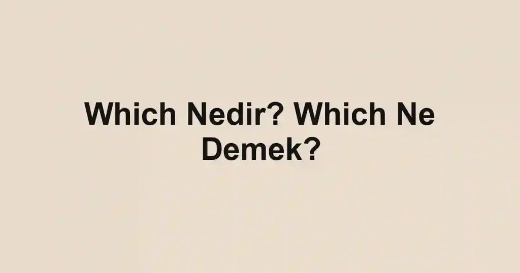 Which Nedir? Which Ne Demek?