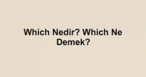Which Nedir? Which Ne Demek?