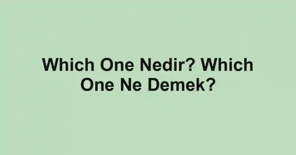 Which One Nedir? Which One Ne Demek?