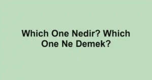 Which One Nedir? Which One Ne Demek?