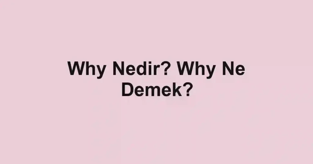 Why Nedir? Why Ne Demek?
