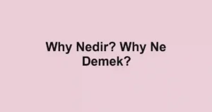 Why Nedir? Why Ne Demek?