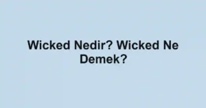 Wicked Nedir? Wicked Ne Demek?