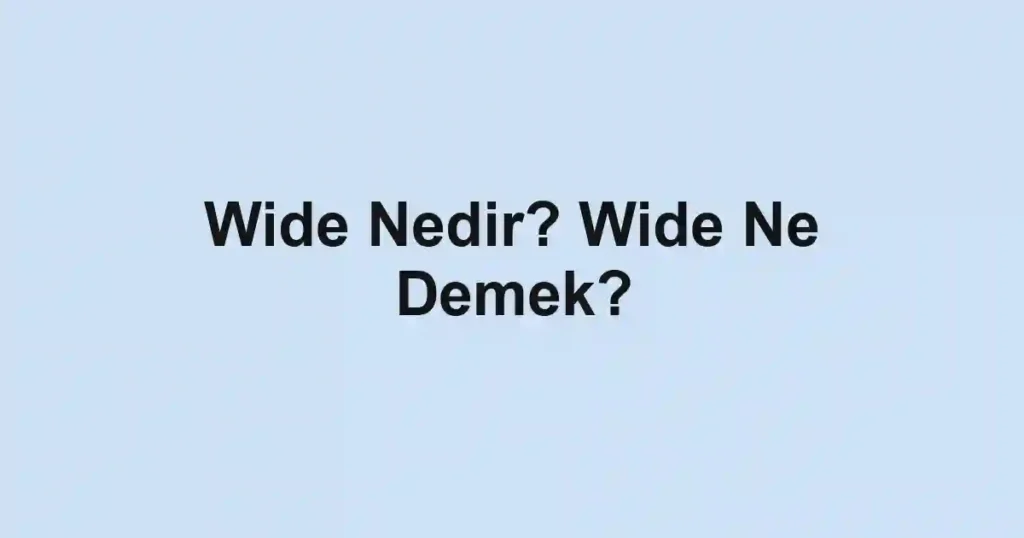Wide Nedir? Wide Ne Demek?