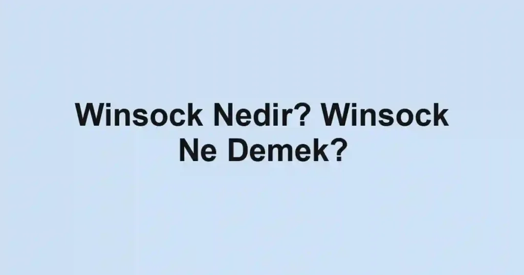 Winsock Nedir? Winsock Ne Demek?