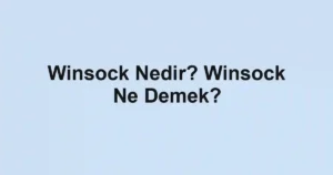 Winsock Nedir? Winsock Ne Demek?