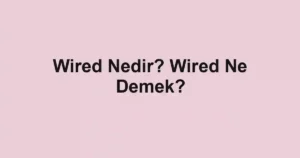 Wired Nedir? Wired Ne Demek?