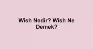 Wish Nedir? Wish Ne Demek?