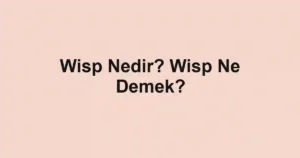Wisp Nedir? Wisp Ne Demek?