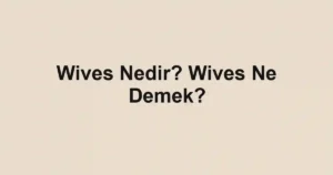 Wives Nedir? Wives Ne Demek?