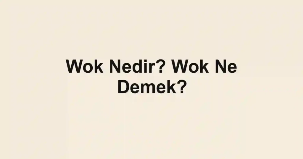 Wok Nedir? Wok Ne Demek?