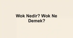 Wok Nedir? Wok Ne Demek?