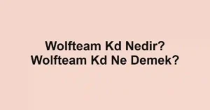 Wolfteam Kd Nedir? Wolfteam Kd Ne Demek?