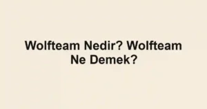 Wolfteam Nedir? Wolfteam Ne Demek?