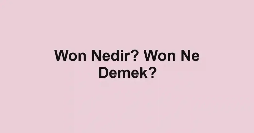 Won Nedir? Won Ne Demek?