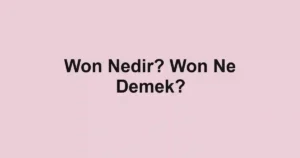 Won Nedir? Won Ne Demek?