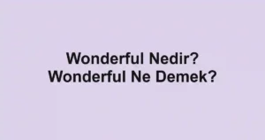 Wonderful Nedir? Wonderful Ne Demek?