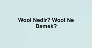Wool Nedir? Wool Ne Demek?