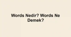 Words Nedir? Words Ne Demek?