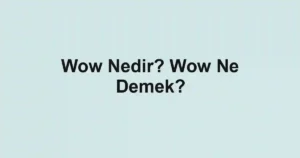 Wow Nedir? Wow Ne Demek?