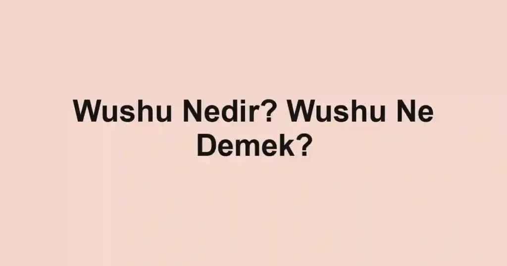 Wushu Nedir? Wushu Ne Demek?