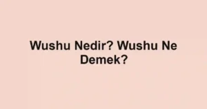Wushu Nedir? Wushu Ne Demek?