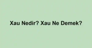 Xau Nedir? Xau Ne Demek?
