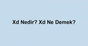 Xd Nedir? Xd Ne Demek?