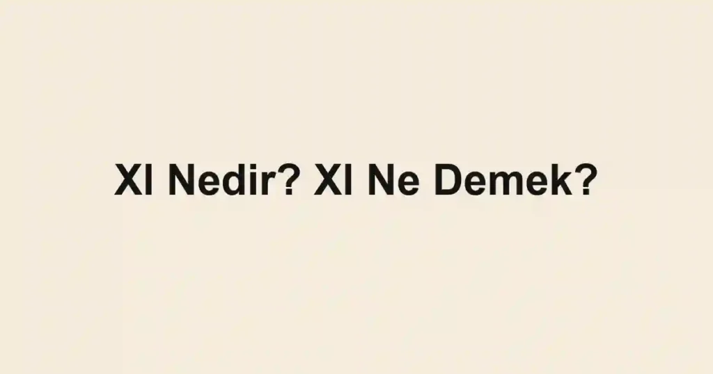 Xl Nedir? Xl Ne Demek?