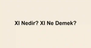 Xl Nedir? Xl Ne Demek?
