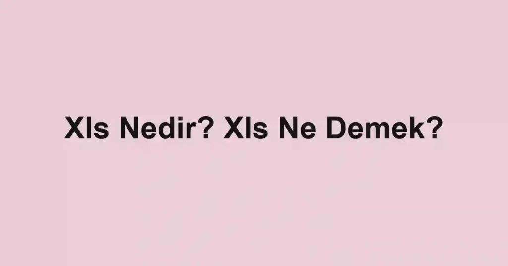 Xls Nedir? Xls Ne Demek?