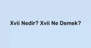 Xvii Nedir? Xvii Ne Demek?