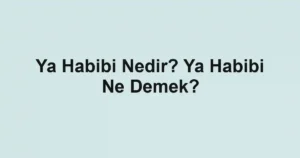 Ya Habibi Nedir? Ya Habibi Ne Demek?