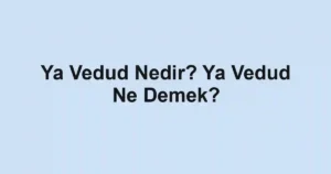 Ya Vedud Nedir? Ya Vedud Ne Demek?