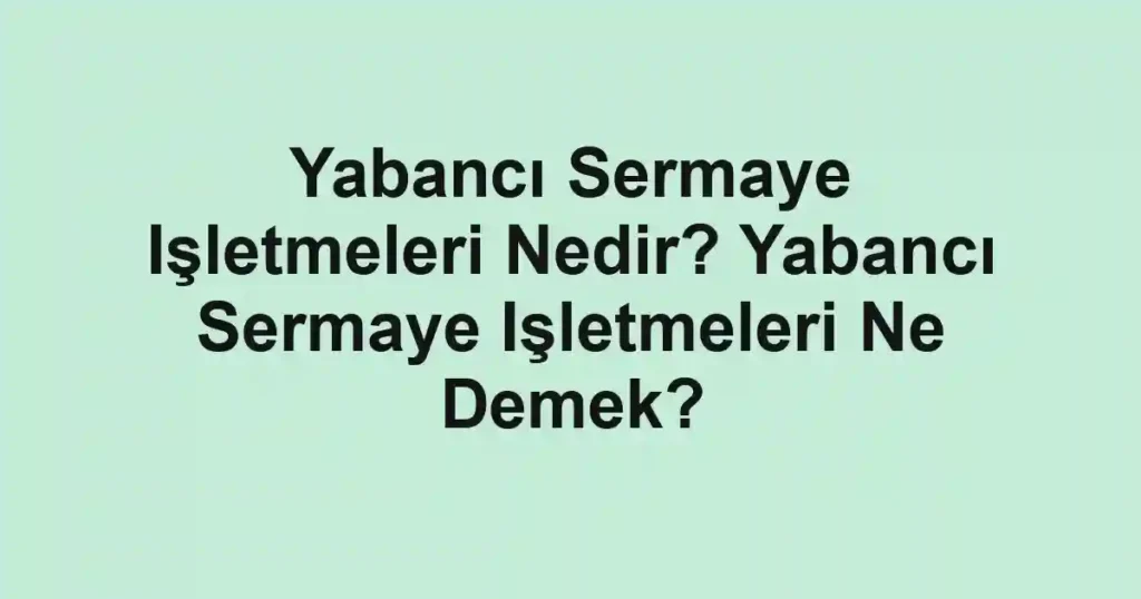 Yabancı Sermaye Işletmeleri Nedir? Yabancı Sermaye Işletmeleri Ne Demek?