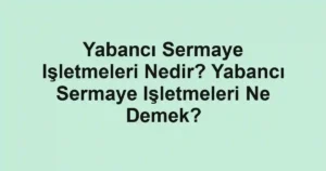 Yabancı Sermaye Işletmeleri Nedir? Yabancı Sermaye Işletmeleri Ne Demek?
