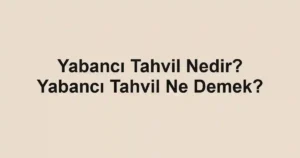 Yabancı Tahvil Nedir? Yabancı Tahvil Ne Demek?