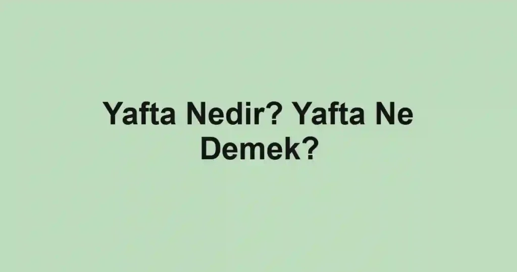 Yafta Nedir? Yafta Ne Demek?