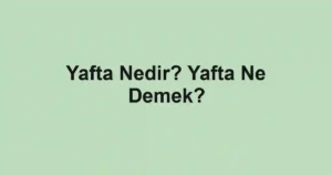 Yafta Nedir? Yafta Ne Demek?