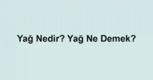 Yağ Nedir? Yağ Ne Demek?