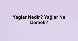 Yağlar Nedir? Yağlar Ne Demek?