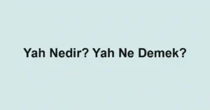 Yah Nedir? Yah Ne Demek?
